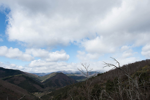 AigoualPLG_5001
