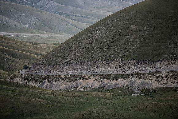 _DSC9137