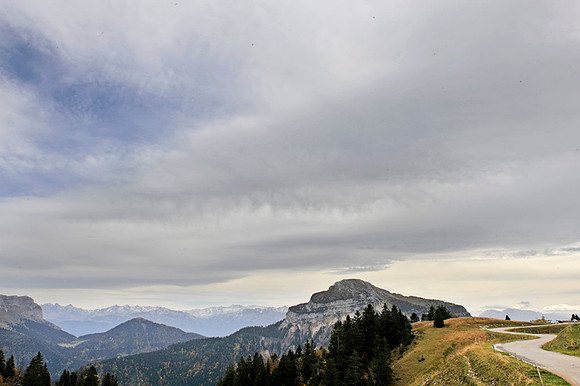 chartreuse_PLG2992