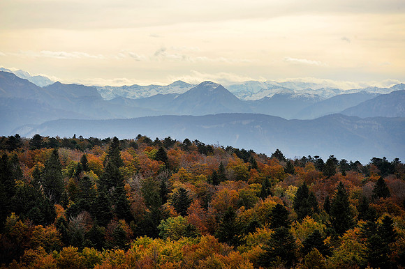 gran colombier_PLG2427