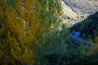 neilaDSC_0123