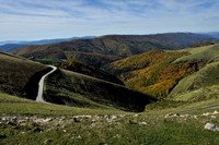 larrau_PLG4573