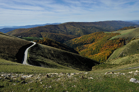 larrau_PLG4573