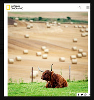 Nat Geo Aberdeenshire Photo Feature