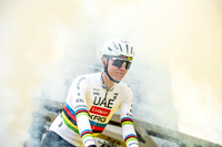 Flanders 2026