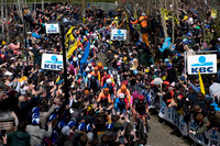 PLG_7366