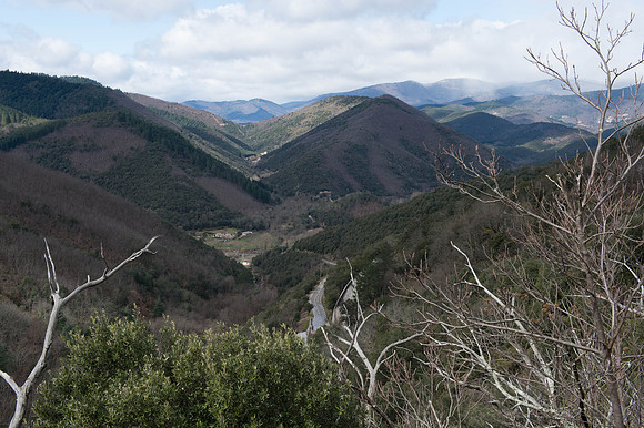 AigoualPLG_4996