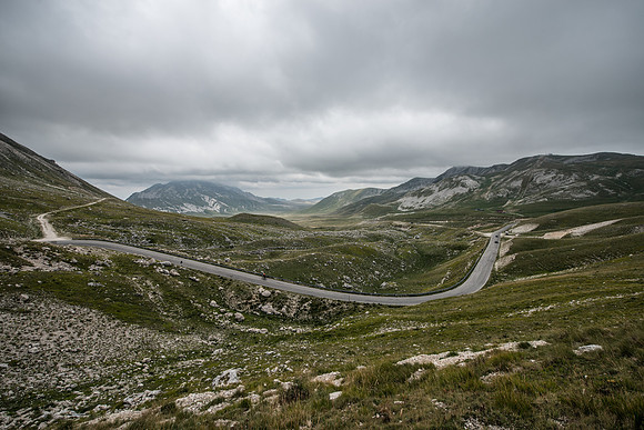 _DSC9244