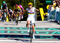 CJW-TDF26-STG3-17771