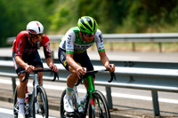 _LB15397