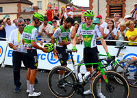 GOD-TDF26-STG12-2369204
