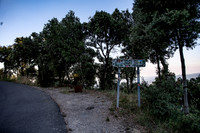 PLG_4370