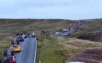 DSC_1344
