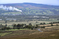 DSC_1354