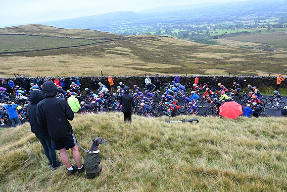 DSC_1169