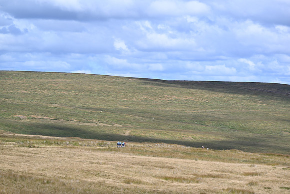 DSC_6367