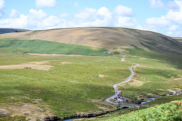 DSC_6449