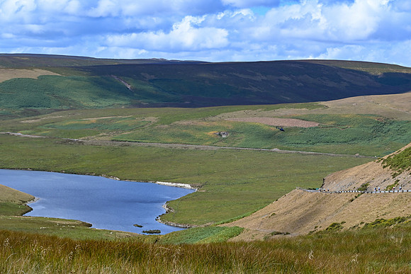 DSC_6533