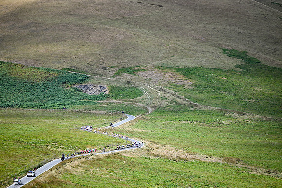 DSC_6454