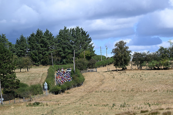 DSC_6022