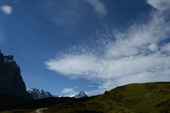 PLG_8252