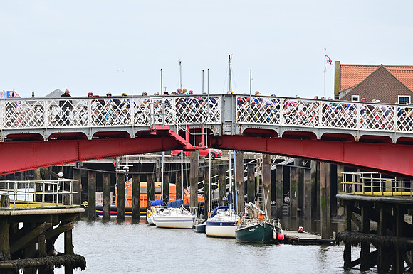 PLG_7135