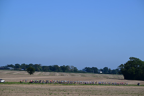 DSC_0337