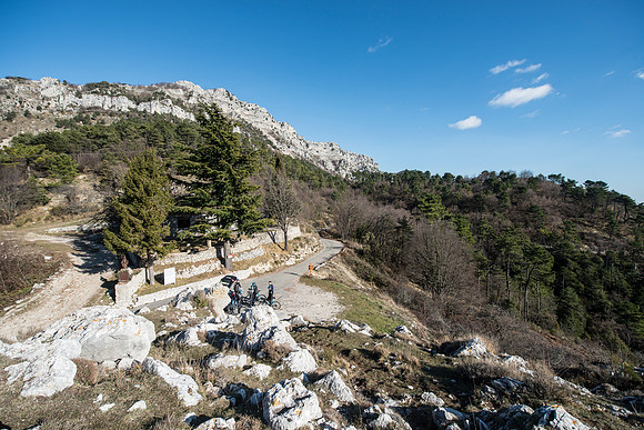 PA-29633734