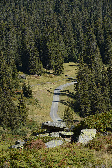 PLG_8277