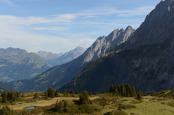PLG_8329
