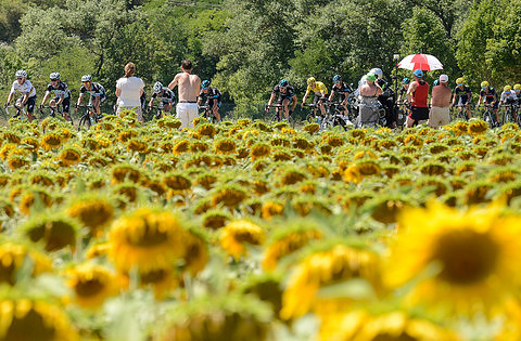 Small_Cycling_TDF_Stage_15-5061