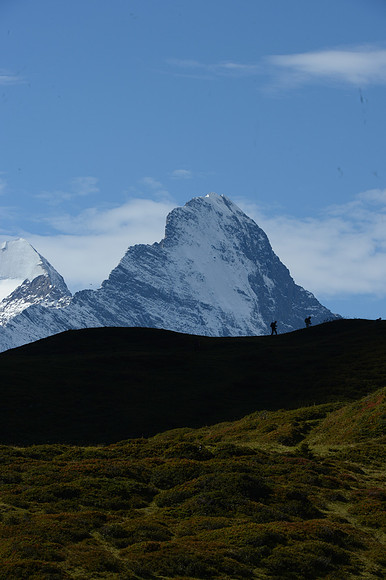 PLG_8265
