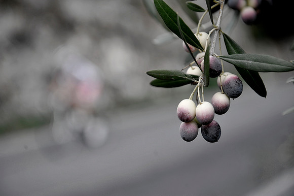 pg_granfondo Roma_PLG1658
