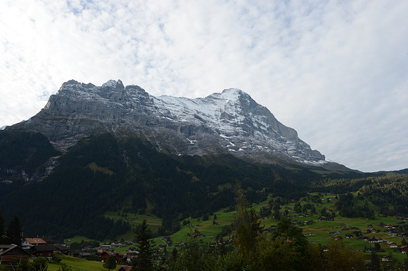 PLG_8075