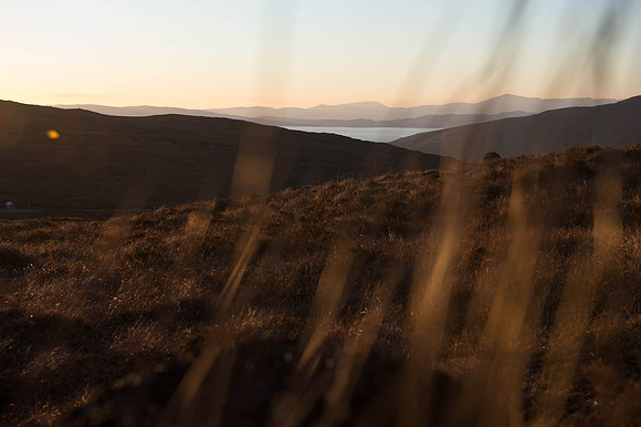 BelachPLG_0194