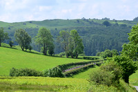 DSC_5027