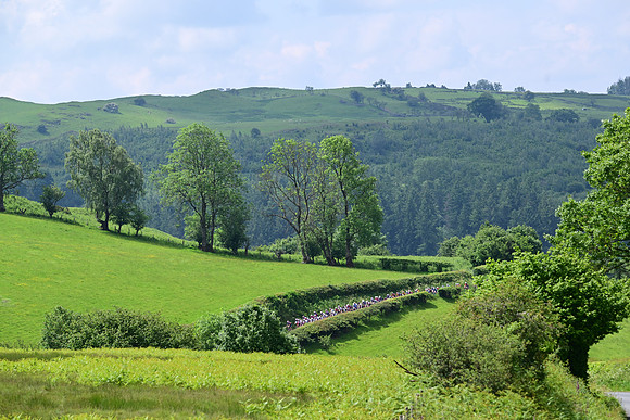 DSC_5027