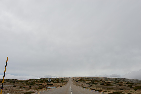 PLG_5322