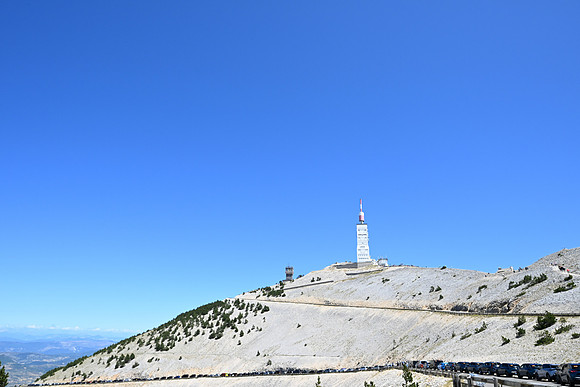 DSC_8390