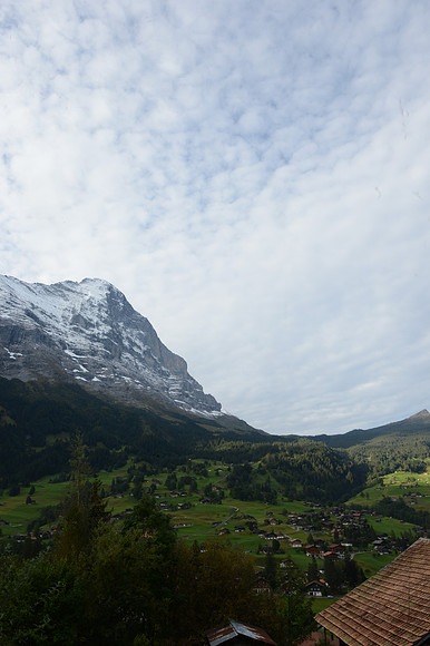 PLG_8071