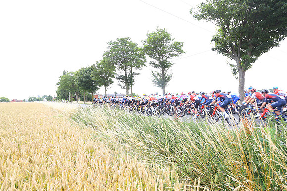 TDF-ST5CJW14574