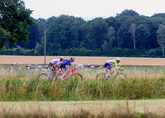 TDF-ST6CJW14687
