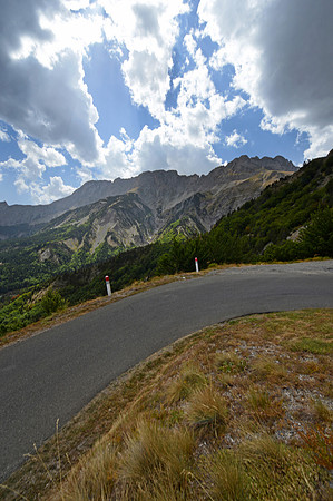 thumbPLG_2565