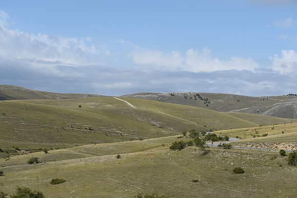 DSC_0982