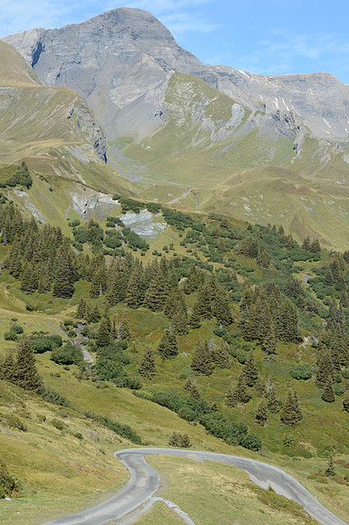 PLG_8260