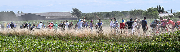PLG_7554