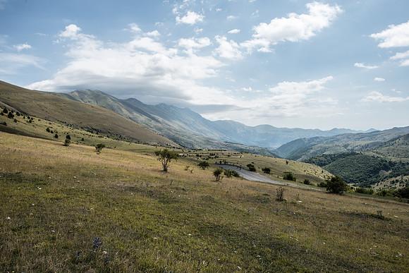 _DSC8877