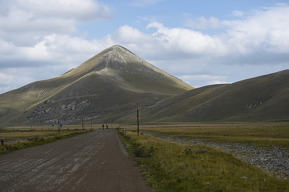 DSC_1454