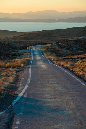 **BelachPLG_0230