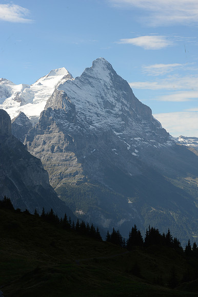 PLG_8202